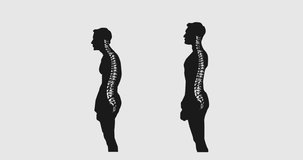 spine backbone
vertebra chine graphic
