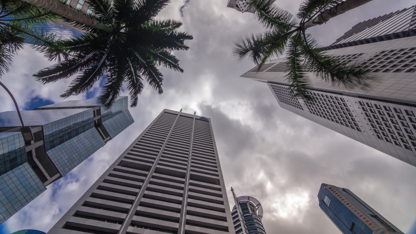 Looking up perspective of modern business skyscrapers glass and sky view landscape of commercial building in central city timelapse. Towers with reflections and palms in Singapore