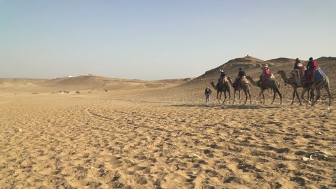 Camel caravan in Sahara desert