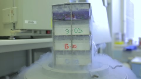 Storing frozen eggs and sperm in a box filled with liquid nitrogen, way to store human eggs, male sperm for fertilization, liquid nitrogen, cold, canister steam, preservation tank, high technology