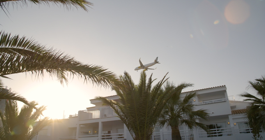 Plane descending behind palm trees and hotels in Ibiza during sunset