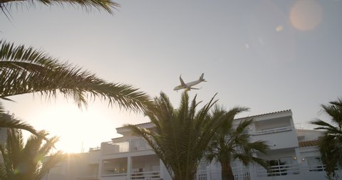 Plane descending behind palm trees and hotels in Ibiza during sunset