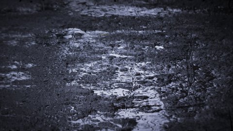 Raindrops Falling In Puddles On の動画素材 ロイヤリティフリー Shutterstock