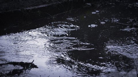 Raindrops Falling In Puddles On の動画素材 ロイヤリティフリー Shutterstock