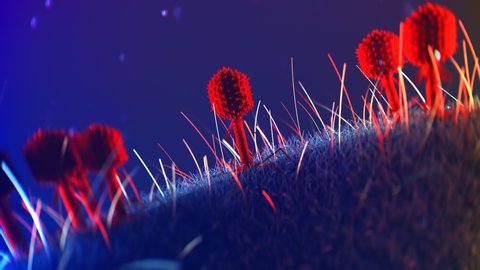 Bacteriophages T4 infecting baterium. Many red phages sitting on  surface of E. Coli, injecting RNA. Phage therapy as alternative to antibiotics. Intestinal infection. Medicine, science  4k HD
