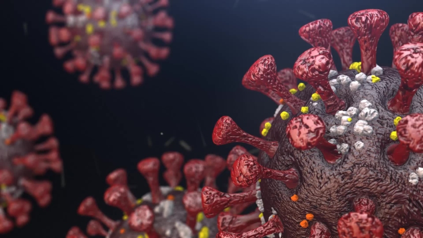 Realistic 3D footage of the severe acute respiratory syndrome coronavirus 2 (SARS-CoV-2) covid 19 formerly known as 2019-nCoV Royalty-Free Stock Footage #1049378950