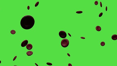 Blood Cells Animation On Greenscreen Stock Footage Video (100% Royalty