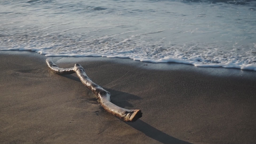 Wood log moving because of oean waves crashing on the sandy coastline