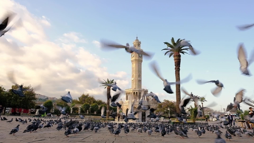 Flock of pigeons flying around the Izmir Clock Tower at the Konak Square in Izmir, Turkey. Slow motion | Shutterstock HD Video #1049462506