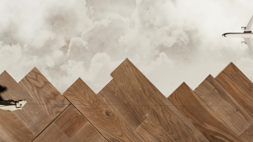 dog walk and airplane flight 3d render illustration