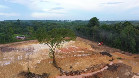 deforestation in the jungle for mining, plantation or noble wood