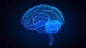 Rotating human brain. Glowing blue human brain 3d model. Seamless looping motion animated neurons in virtual space. - Powered by Shutterstock - Get 15% off with code: PIKWIZARD15