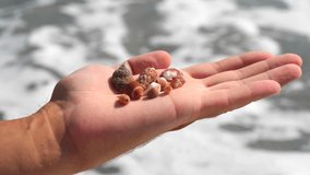 Small seashells lie on a man's hand against background of sea, water, waves, sea foam. Man holds full handful of small seashells, close-up. Concept of vacation, summer holidays. Slow motion video.