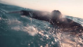 Triathlete Swim Sport Workout Triathlon Competition. Professional Swimmer Sport Training For Triathlon Competition In Open Water. Professional Triathlete Swimming Sport Recreation. Swimmer Underwater - Powered by Shutterstock - Get 15% off with code: PIKWIZARD15