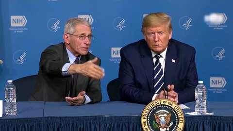 CIRCA 2020- American physician and immunologist Dr. Anthony Fauci explains to President Trump how viruses and outbreaks work.