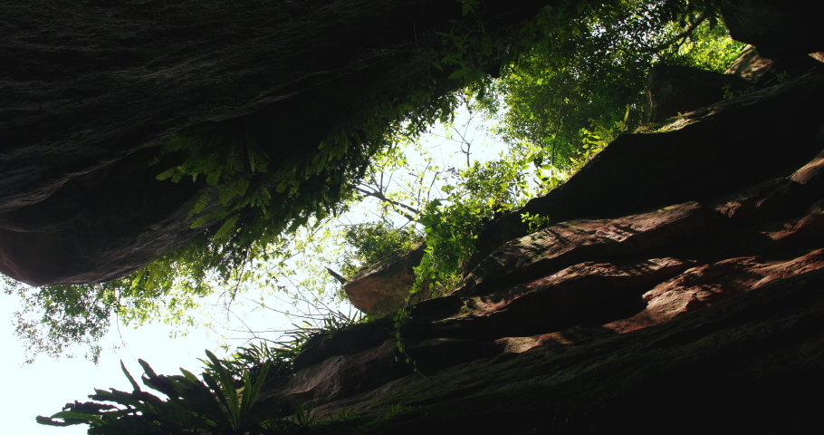 Low angle view looking up the sky from the cave plant growing on the top of the rock