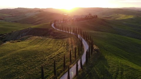Asciano, Italia 27.04.2019. Drone footage of spring Tuscany fields. 