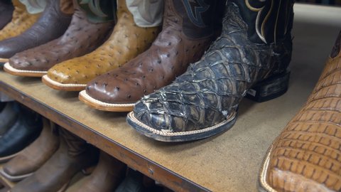 Cowboy boot on the shelf. American-style boots from ostrich, crocodile and buffalo leather. An assortment of different colored horse riding boots for men. Stylish leather western style boots.