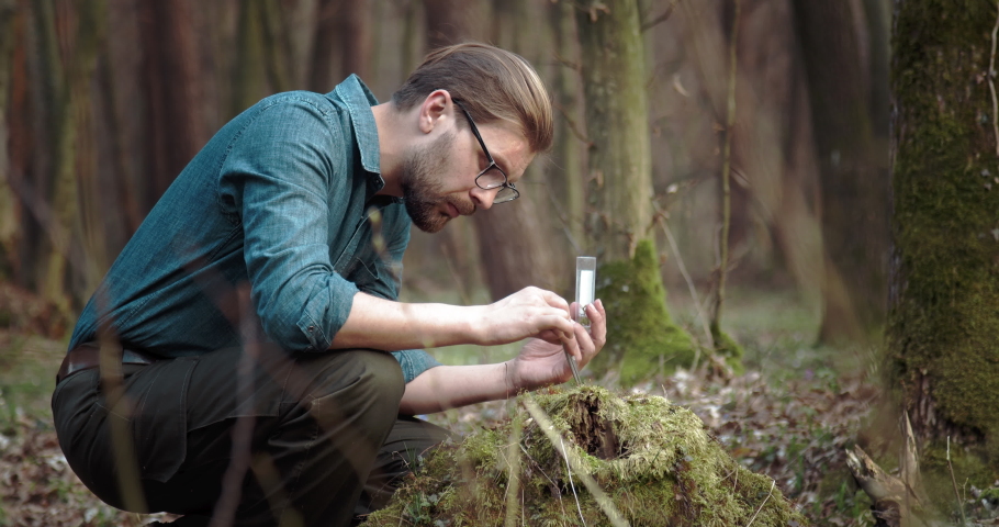 Competent biologist in casual clothing sitting at forest and taking moss for test in laboratory. Mature bearded man examining green nature outdoors.