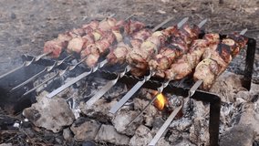 Shish kebab. Pork or lamb meat pieces being fried on a charcoal grill. Cooking meat barbecue on charcoal grill at picnic.
