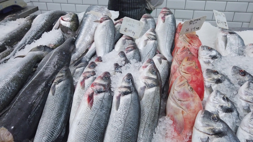 Assortment of fresh fish, including Seabass , Red Snapper and Sea Bream, displayed on ice in a UK fishmonger Royalty-Free Stock Footage #1049661112