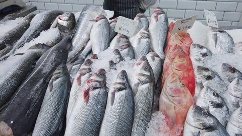 Assortment of fresh fish, including Seabass , Red Snapper and Sea Bream, displayed on ice in a UK fishmonger