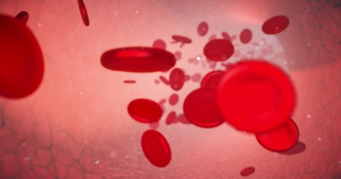 Blood flow 3D animation, human blood, red blood cells and capillaries, cells, blood pressure, heart