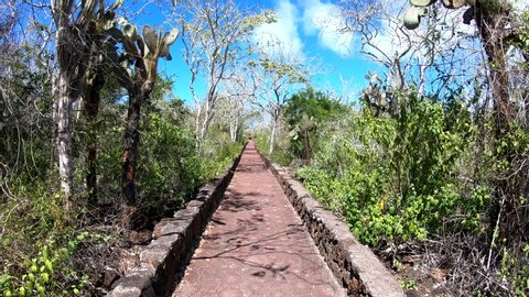 Stabilized Gimbal Shot Walking On Lava Rock Path Near Tortuga Bay, Galapagos
