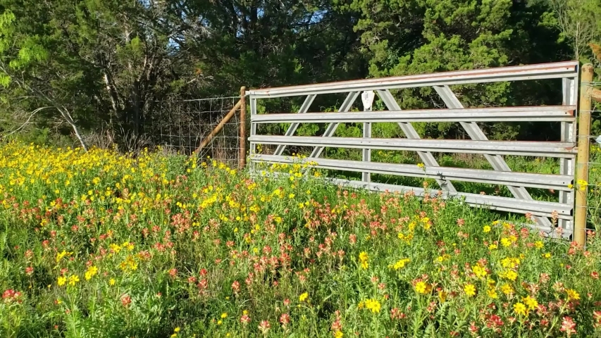 Flowers by a gate in Texas,USA.