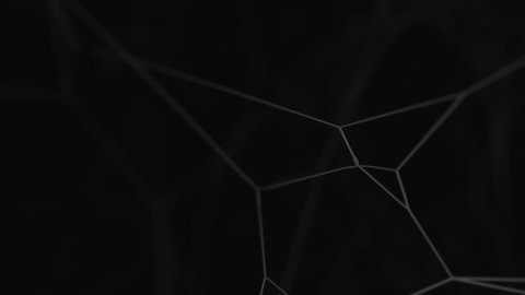 4K Cobweb or spider wed isolated on black background. Plexus fantasy abstract technology and motion background. Animated lines and depth of field settings. 3d animation