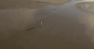 Aerial view of woman walking at the beach, Bali, Indonesia