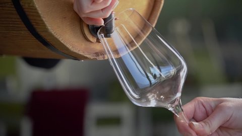 Special wine pours from wooden barrel. Sommelier holds and pours red France wine into a wine glass