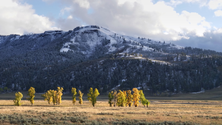 lamar valley with early autumn snowfall in yellowstone national park of wyoming, usa