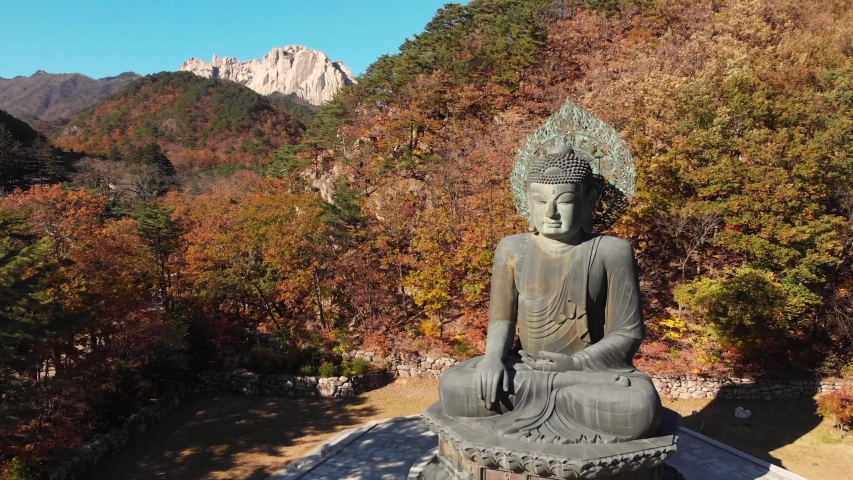 Big Buddha statue at Seoraksan National Park. South Korea 4k dron