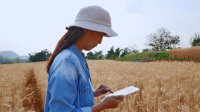 Farmer using tablet in wheat field. Scientist working in field with agriculture technology.  - Powered by Shutterstock - Get 15% off with code: PIKWIZARD15