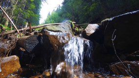 Water tumbles softly and playfully amongst rocks and other debris in this wilderness stream in the Carpathian Mountains. with sound.