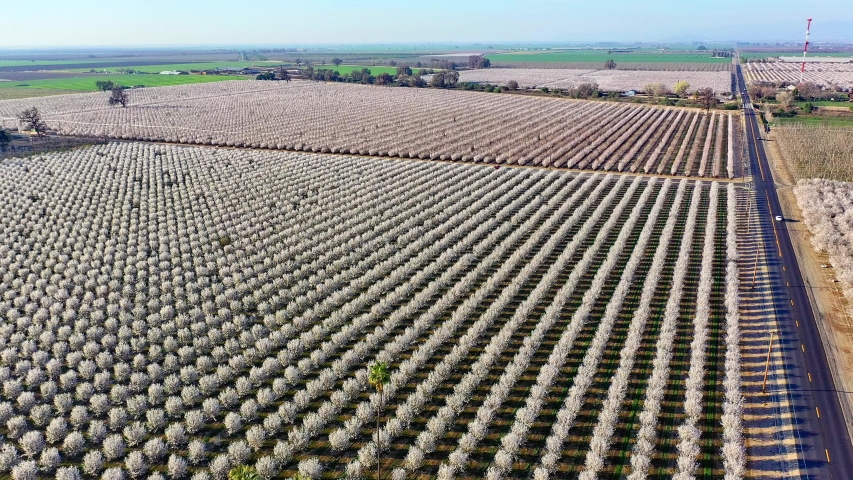 Flying low over California
