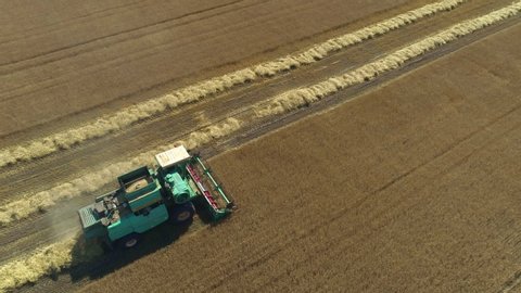 Poltava, Ukraine - July 18, 2019. Aerial view. Combine Harvester gathers the wheat. Harvesting grain field. Beautiful natural aerial landscape. 