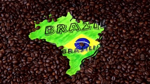 Freshly roasted coffee beans fall on the map of Brazil symbolically painted with the national green yellow blue color.High-class Arabica fills the picture.Concept.A country.Leader.Lots of coffee