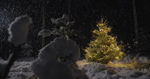 Decorated Christmas tree with lights outside in dark snowy forest in winter