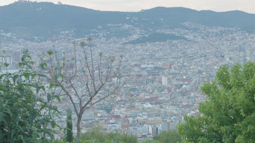 View Behind The Trees Of Barcelona From The Mountain