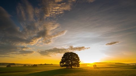 Timelapse of a tree on farmland near malham, Yorkshire Dales National Park, UK