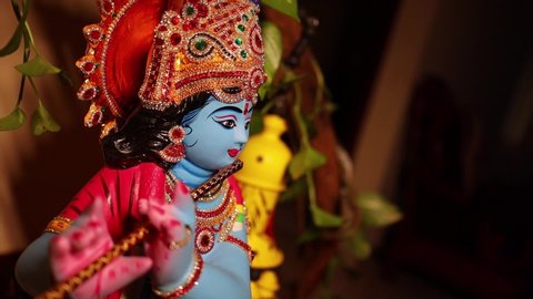 Krishna is a major deity in Hinduism. He is worshipped as the eighth avatar of the god Vishnu and also as the supreme God in his own right.