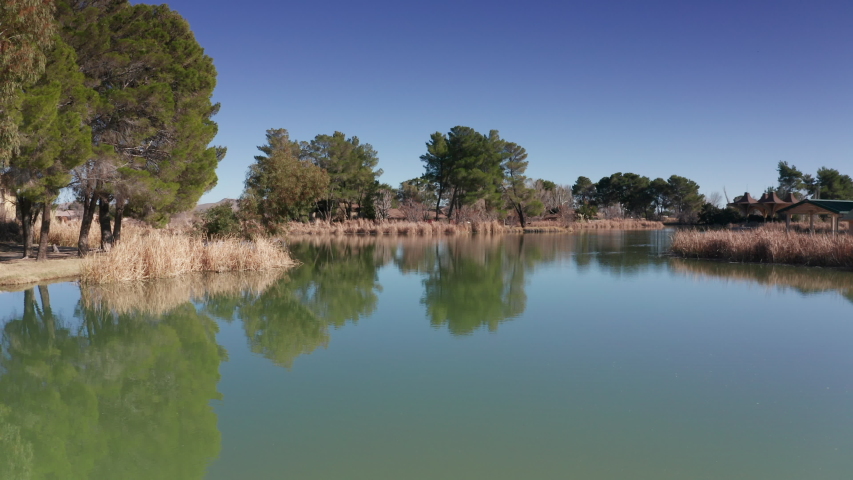 Lush Green Trees Reflecting On The Clean Lake Water In California, USA On A Hot Sunny Day - Wide Shot