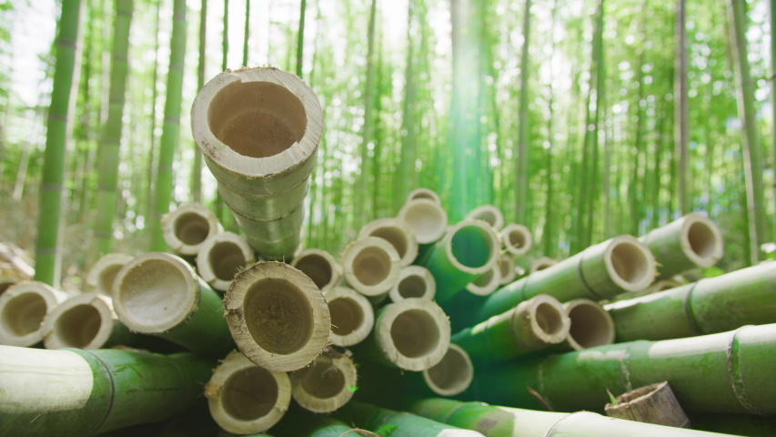 Close up footage of cut organic bamboo poles ready to be processed into sustainable green products. Bamboo forest in background. Flare. Royalty-Free Stock Footage #1050100549
