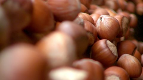 Shelled hazelnuts on wooden surface move in to camera in slow motion. Macro