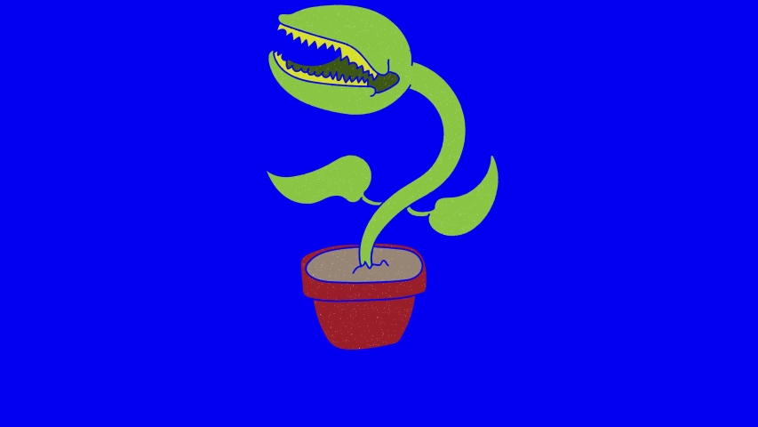 Venus flytrap hand drawn blue screen. floating loop animation