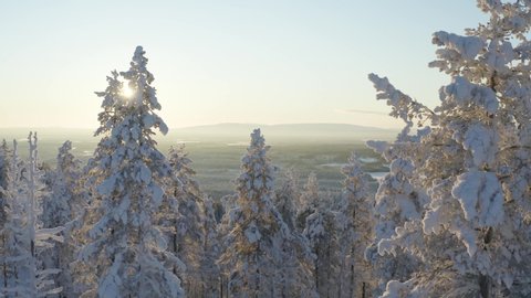 Aerial drone footage of the Lapland forests during the harsh polar winter. Icy trees.