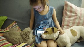 Little Young Girl Child Stay Home In Room With Pet Fluffy Cute Kitten And Dog