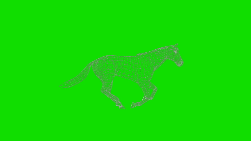 Футажи лошади. Футажи лошади. Футажи лошади. Футажи лошади. Футаж коня на зеленом фоне.